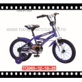12 &quot;Coaster Brake Child Bike / BMX